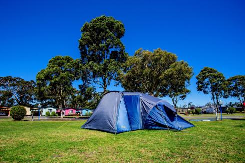 BIG4 Traralgon Park Lane Holiday Park - Powered Site - Tent