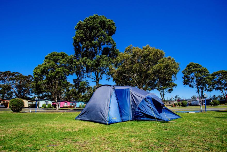 BIG4 Traralgon Park Lane Holiday Park - Powered Site - Tent