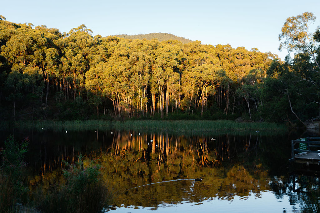 ParkLane YarraValley 286