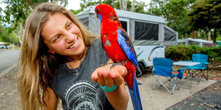 eb74d878f19836a3b1428467cd4172294e48dd6a