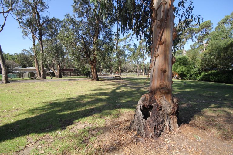 Unpowered Sites scaled