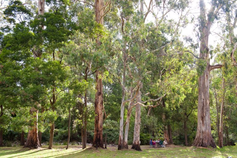 Badger Creek 025 scaled