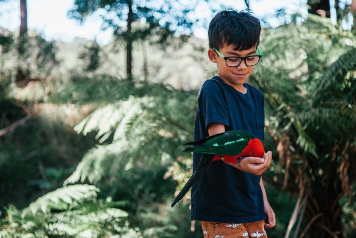 BIG4 Yarra Valley 6 scaled