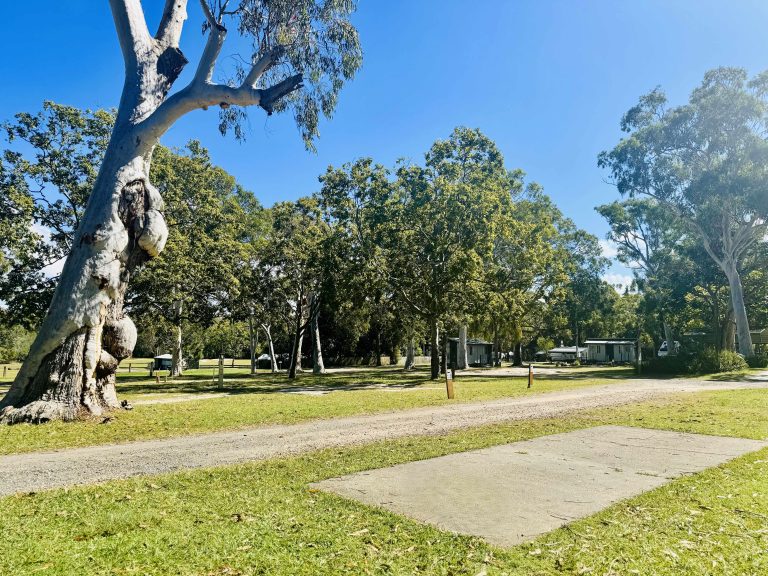 Deluxe Slab Big4 Noosa Northshore Landscape Web scaled