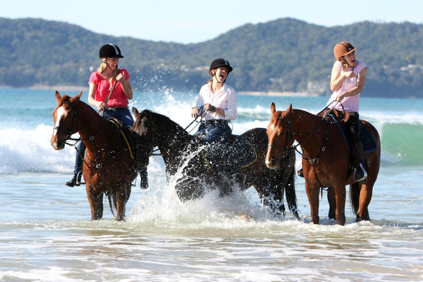 Equathon Horse Riding Noosa North Shore