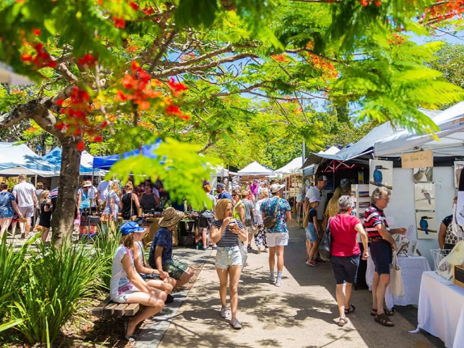 Eumundi markets Noosa North Shore