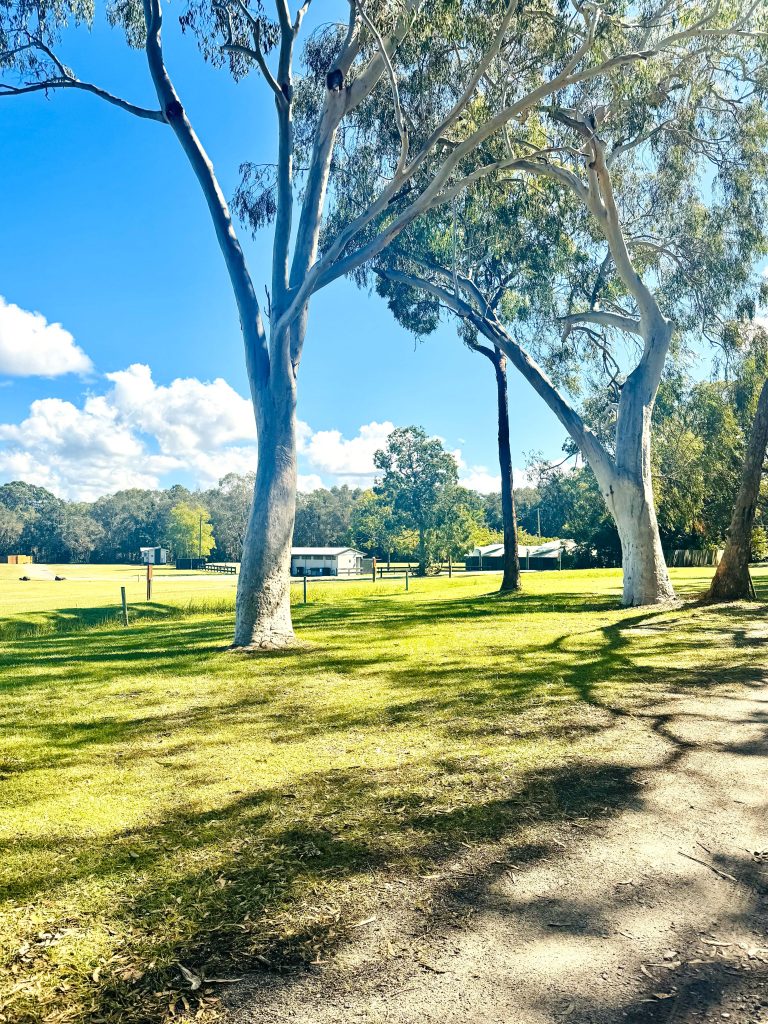 Holiday Park Noosa Grass WEB scaled