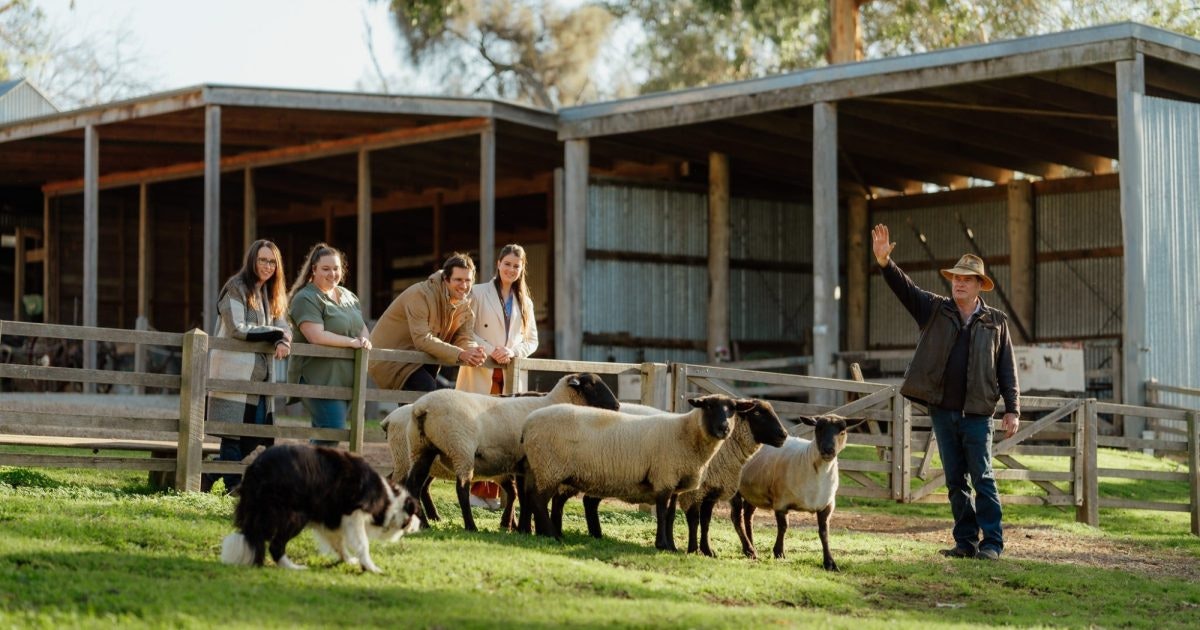 PhillipIsland Churchill Island