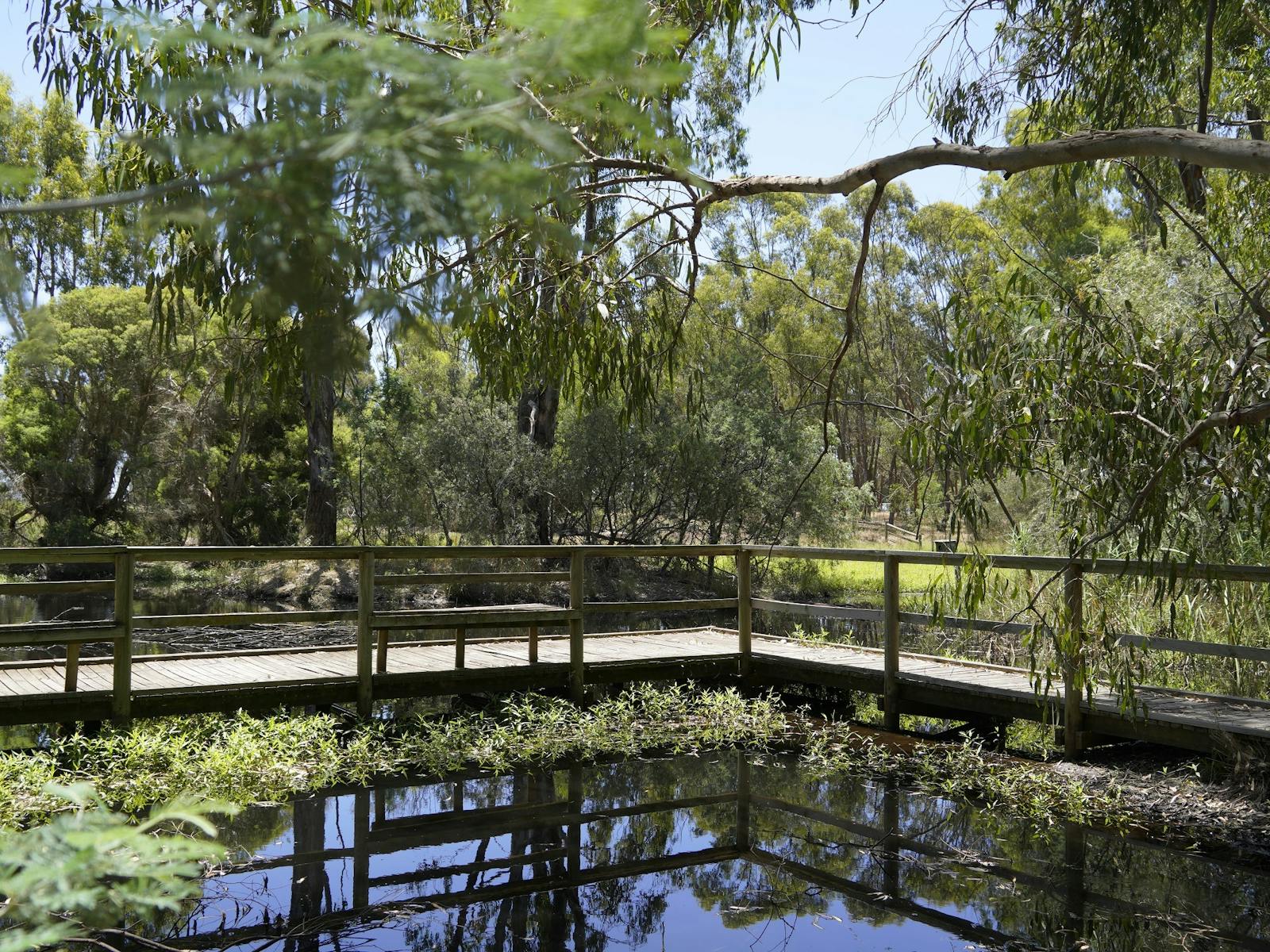 Shepparton Cussen Park