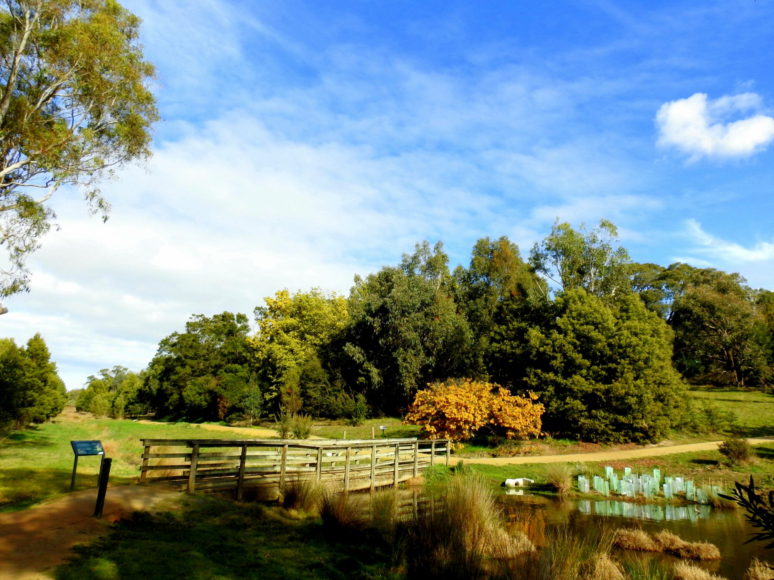Traralgon Traralgon Railway Reservoir Conservation Reserve