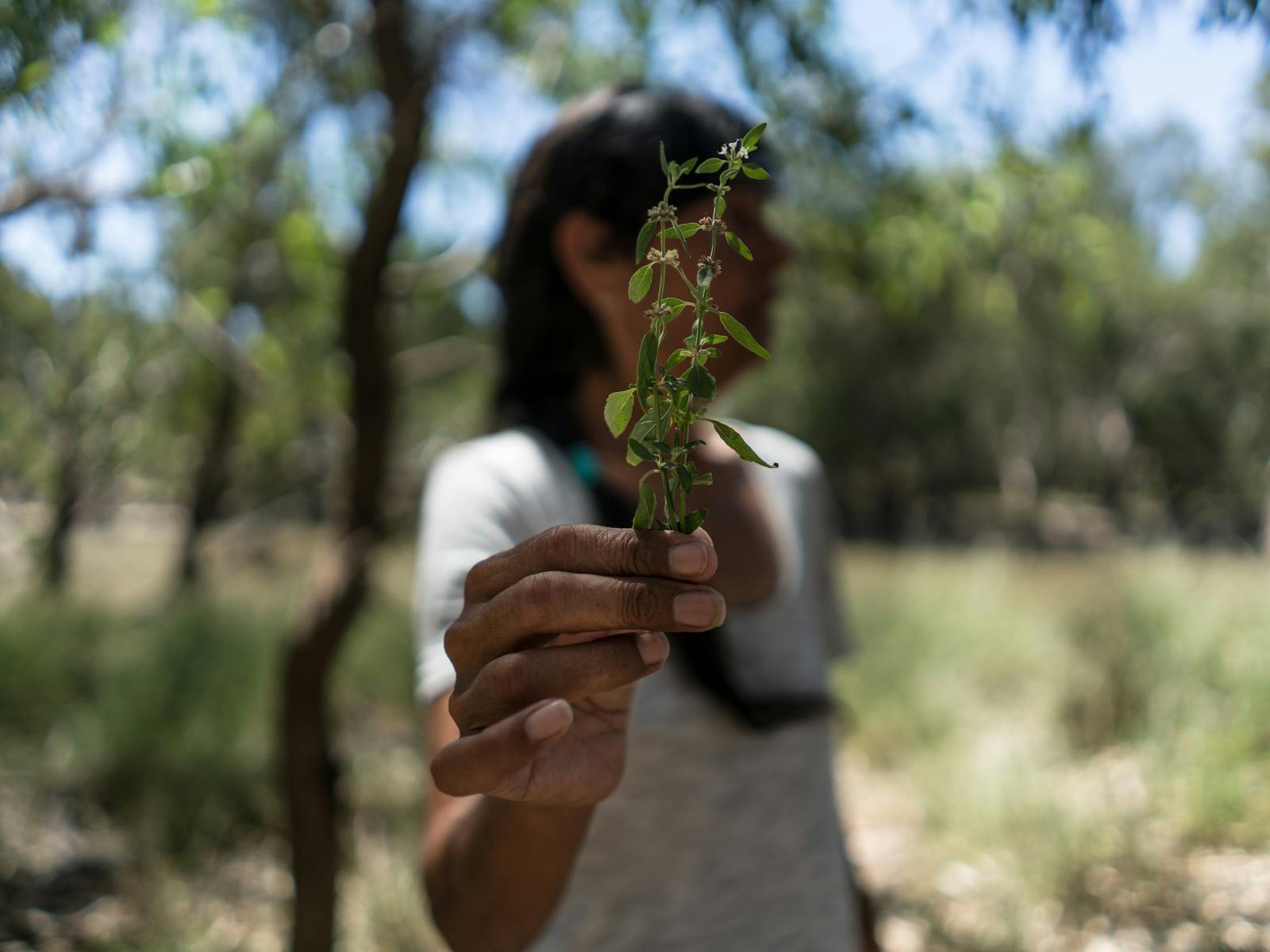 Deniliquin Yarkuwa Indigenous Knowledge Centre