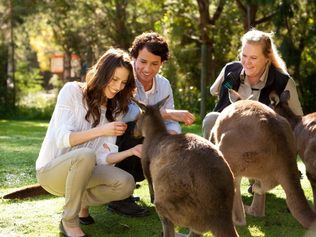 YarraValley Healesville Sanctuary