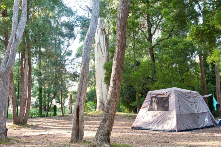 Powered Tent Site